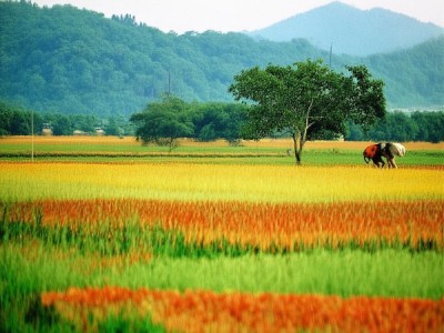 曲靖公益广告，温暖点亮生活的故事